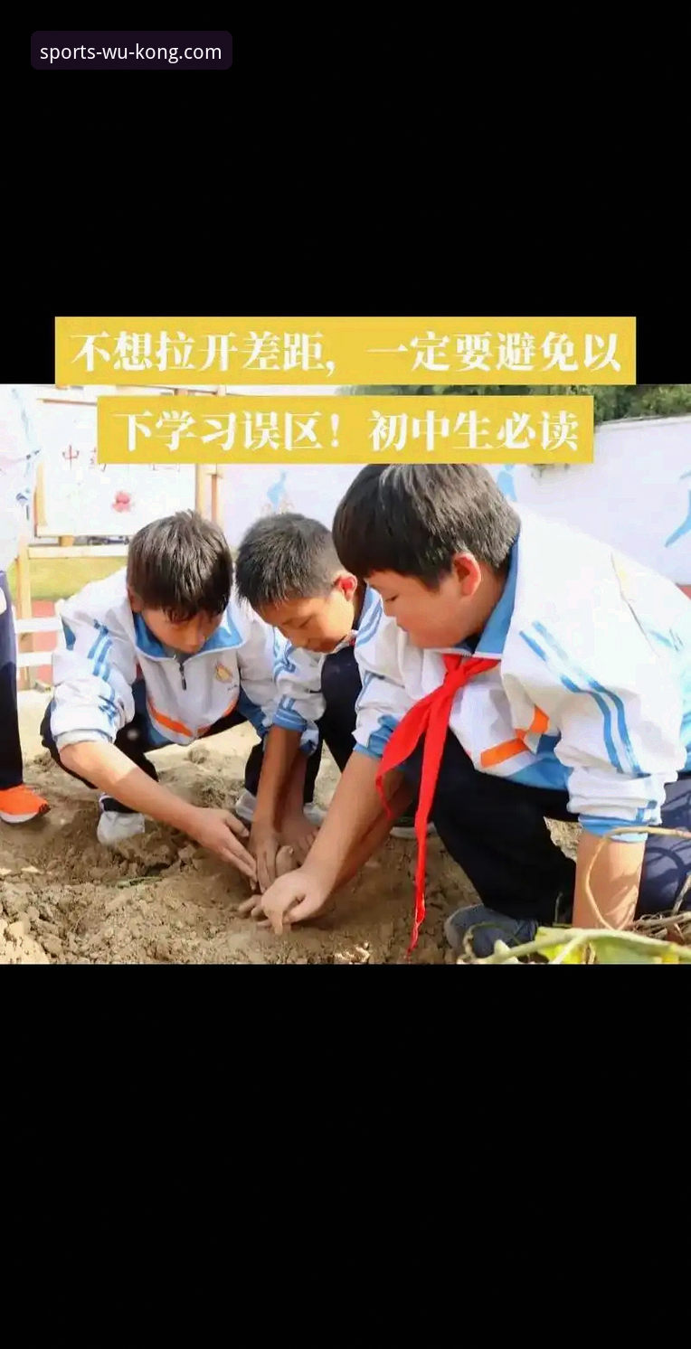 悟空体育使用教程 悟空体育使用教程 vs 常见误区:2024年新用户必看的5个关键差异